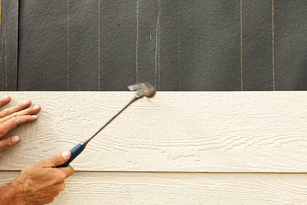 Best Stucco Siding  in Bloomville, OH